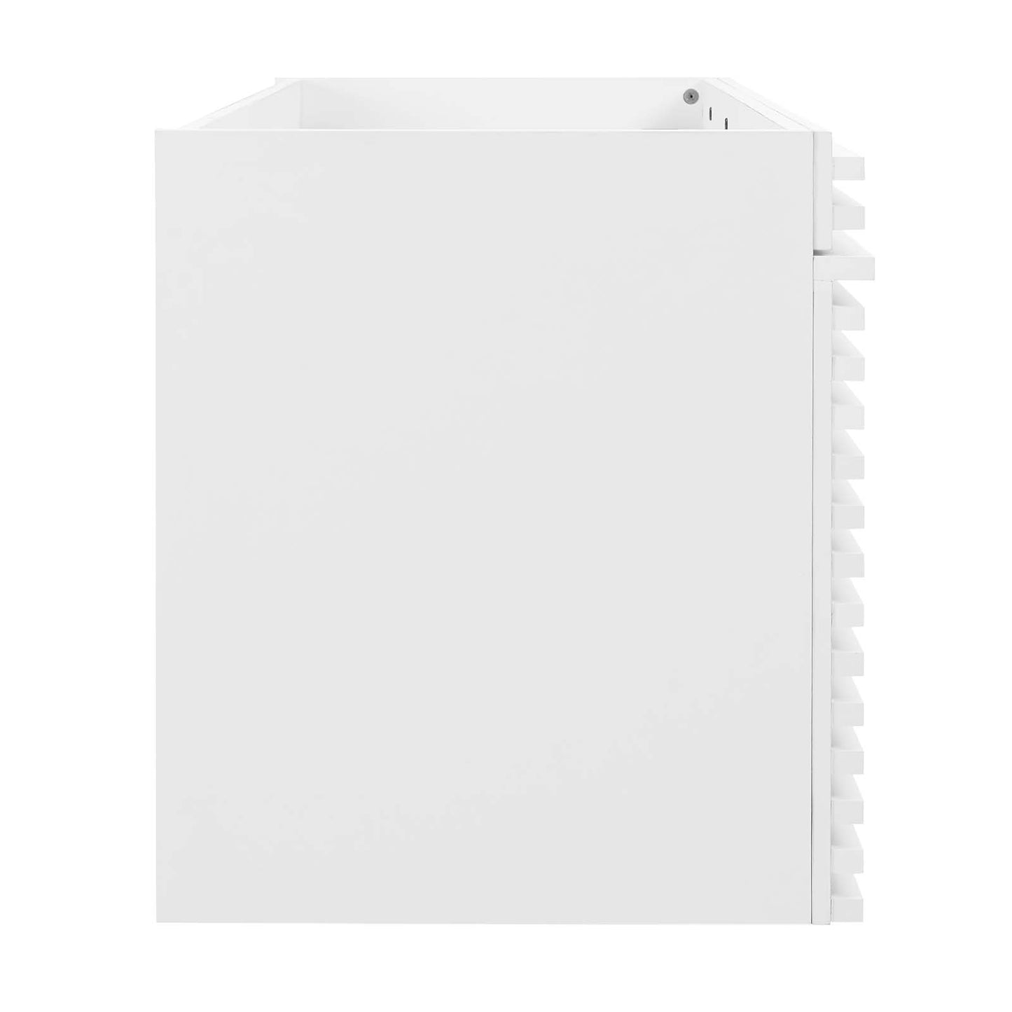 Render 48" Single Sink Compatible (Not Included) Bathroom Vanity Cabinet