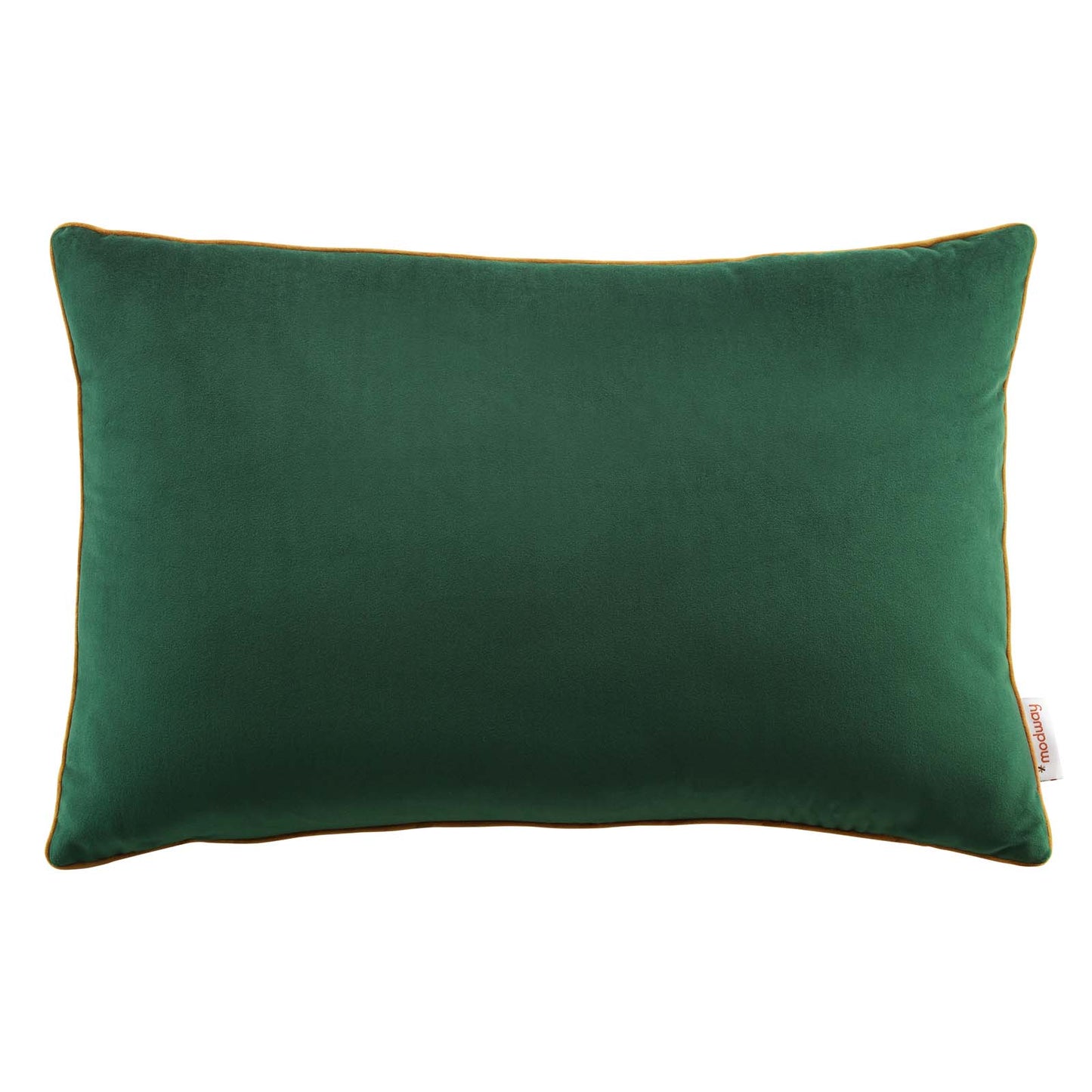 Accentuate 24" Lumbar Performance Velvet Throw Pillow