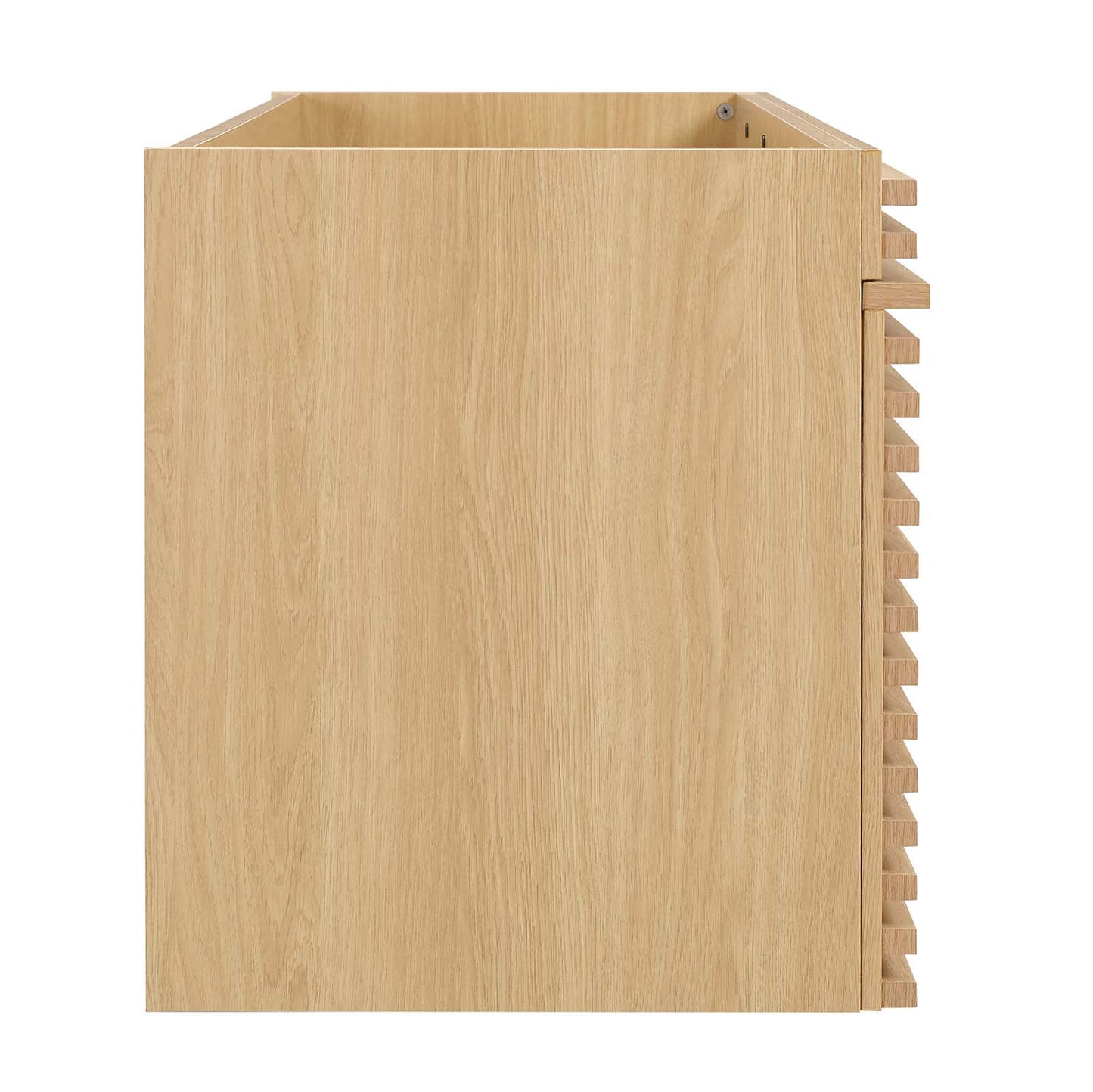 Render 48" Single Sink Compatible (Not Included) Bathroom Vanity Cabinet