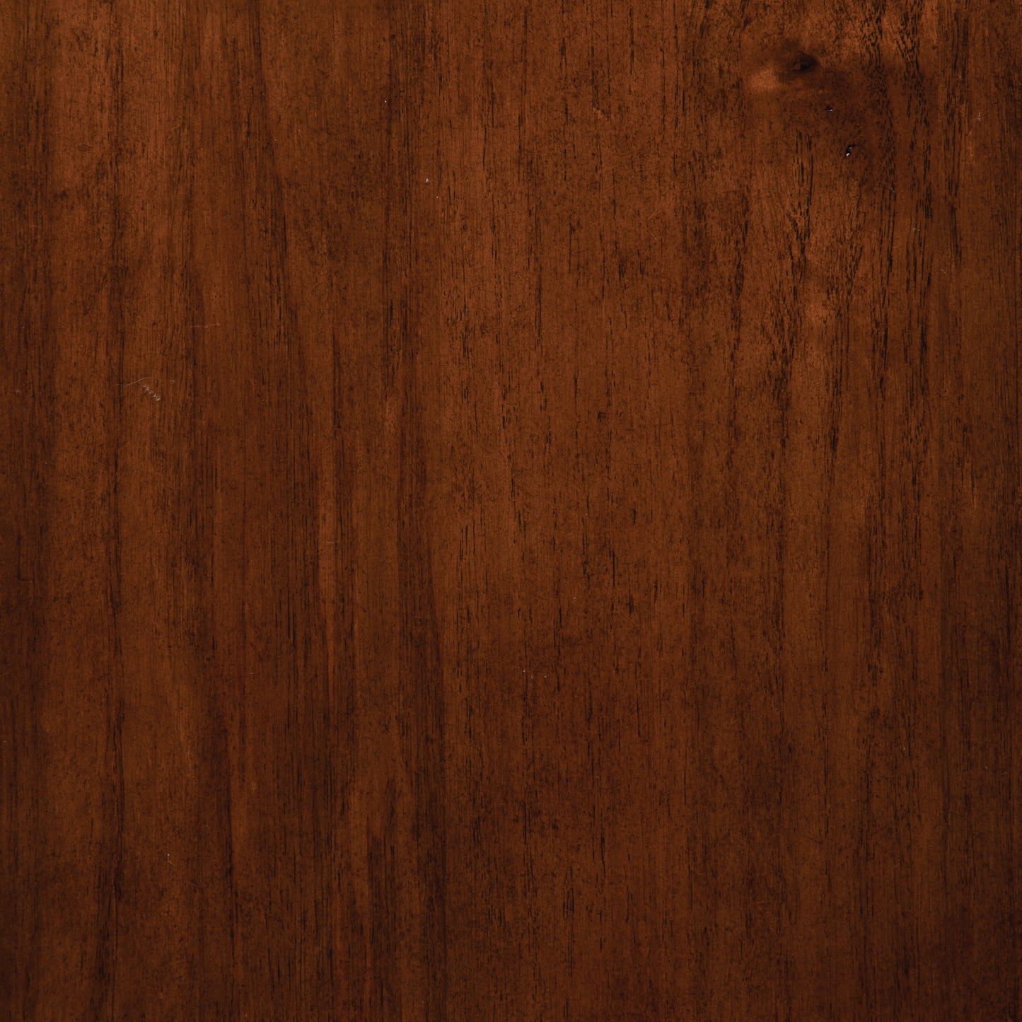 Upholstered Bench Brown and Black