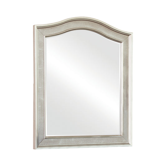 Arched Top Vanity Mirror Metallic Platinum
