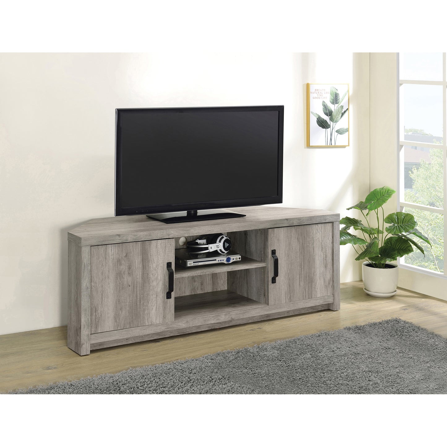 2-door TV Console with Adjustable Shelf Grey Driftwood