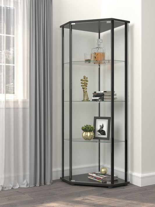 Glass Shelf Curio Cabinet Clear and Black