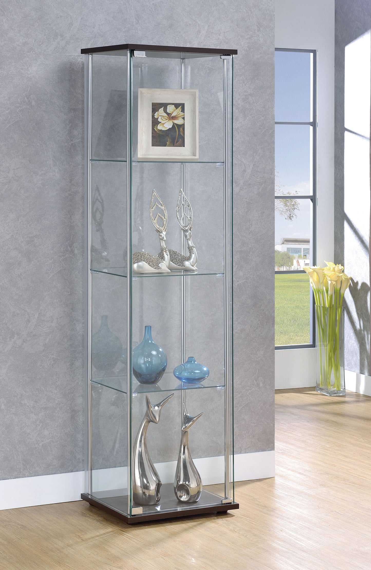 Rectangular 4-shelf Curio Cabinet Cappuccino and Clear