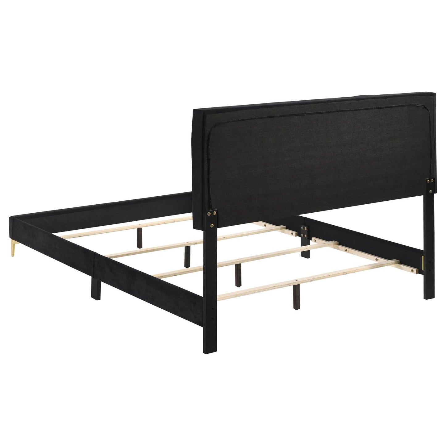 Kendall Tufted Panel Queen Bed Black and Gold