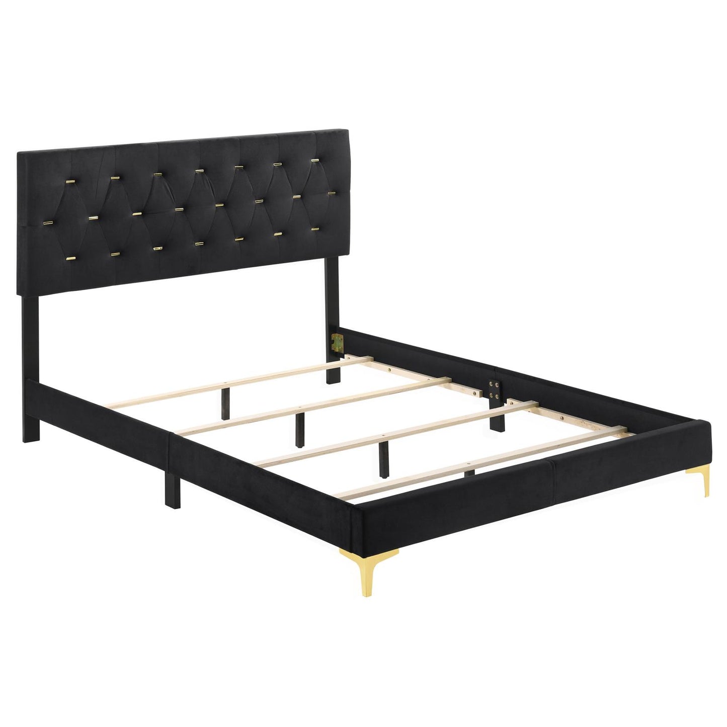 Kendall Tufted Panel Queen Bed Black and Gold